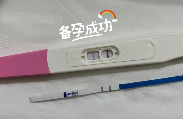 试管双倍惊喜龙凤胎背后的酸甜苦辣全记录