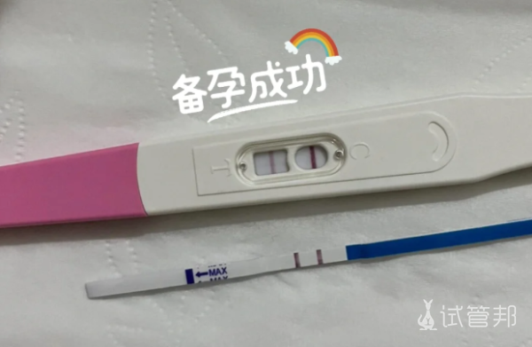 fd97871fe3fe65cd3d63251f7d3f544b.png 试管双倍惊喜龙凤胎背后的酸甜苦辣全记录