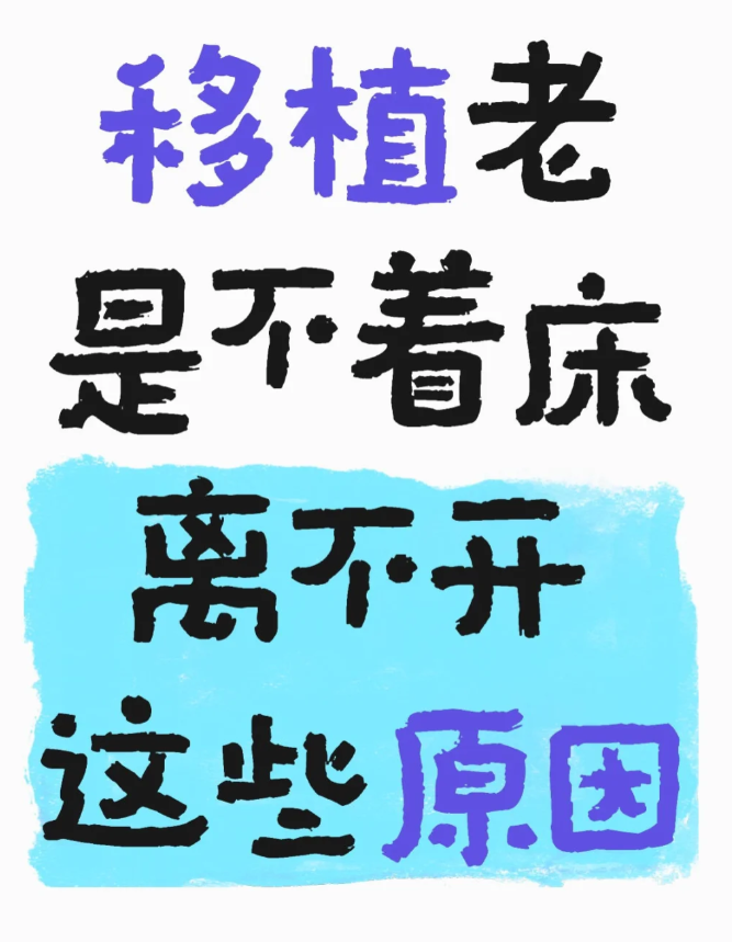 移植为什么不着床和这10点有关