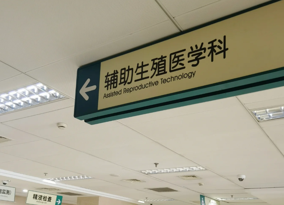试管婴儿记录上海一妇婴解冻囊胚移植