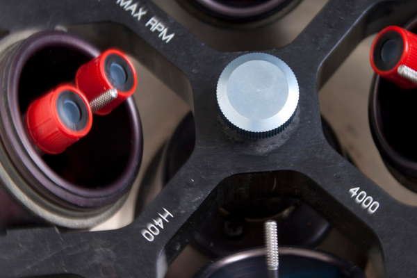 b0e8fc207c8876b25db8837a8fce10e4.png 熊猫血A型是什么血型