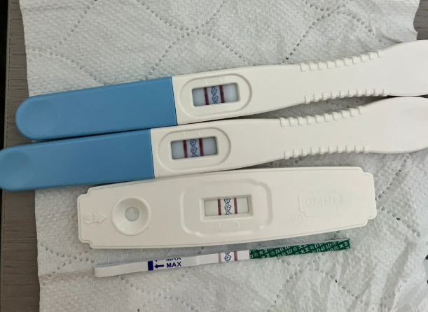 单角+残角子宫逆袭上岸