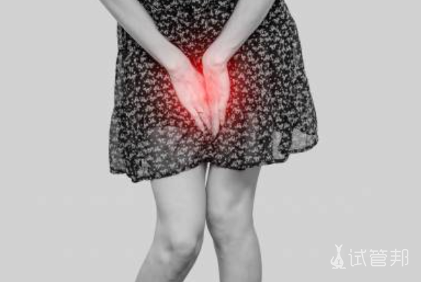 3a76219d0ecff583a279712c8e2aa85e.png 白细胞酯酶阳性3+怎么治疗