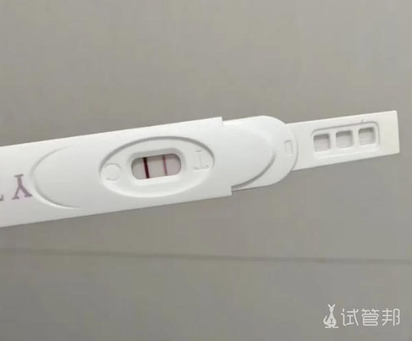 3dccf0a52ca42e3bcc8944144acb58af.png 试管婴儿迎来好消息,一切痛苦都值得了
