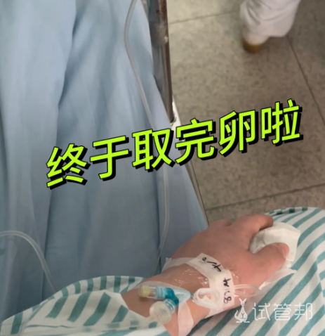 630527f9105e80af0d78d5a411a0d824.png 全麻取卵结束大家都休息多久才上班的?