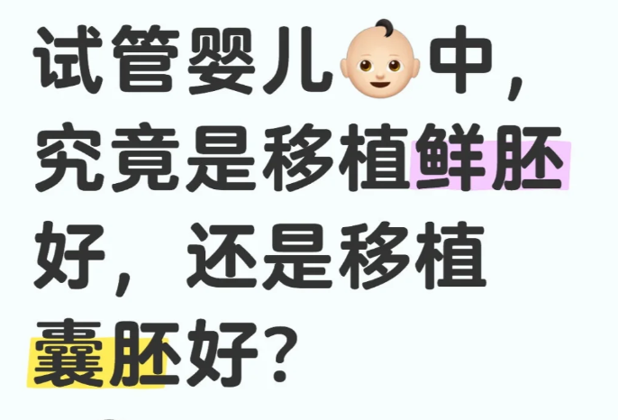 试管婴儿移植囊胚还是鲜胚好
