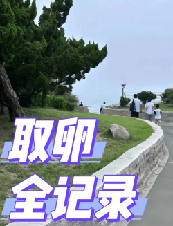 试管取卵全流程注意事项+防腹水秘籍分享