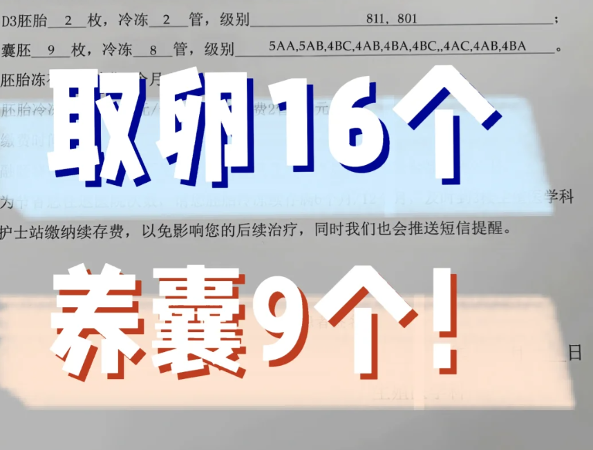 试管婴儿养囊记录取卵16个养囊9个