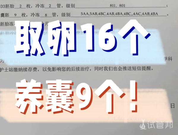 c6f1916094ad4f7a5553501e6d8d4ae2.png 试管婴儿养囊记录取卵16个养囊9个
