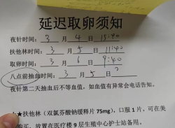 北京301试管婴儿取卵经历分享