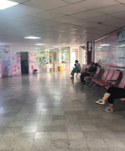 回看试管之路，才发现这点真的很重要
