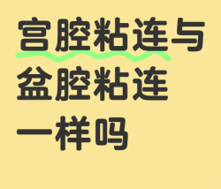盆腔粘连是什么意思？是宫腔粘连吗