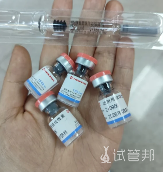 dfdb8377ad219ac36a36df8608c7410a.png 促排10天打了22针