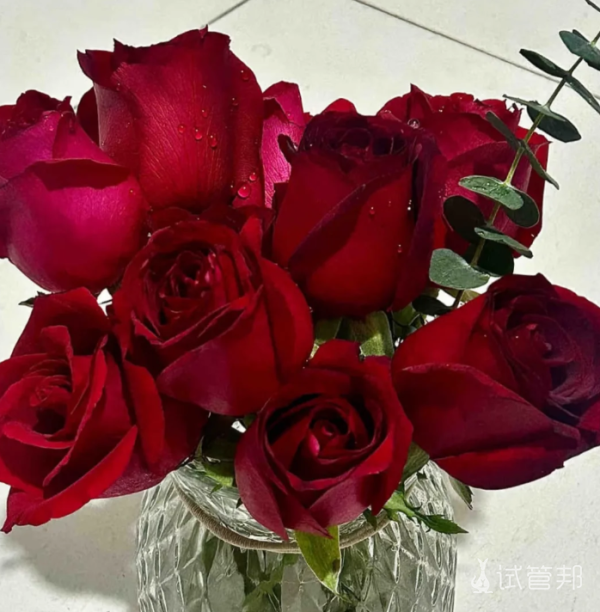 8058a3b4ff63a39ff01e2580d19cd5c9.png 40天我的试管之旅就结束了成功上岸了