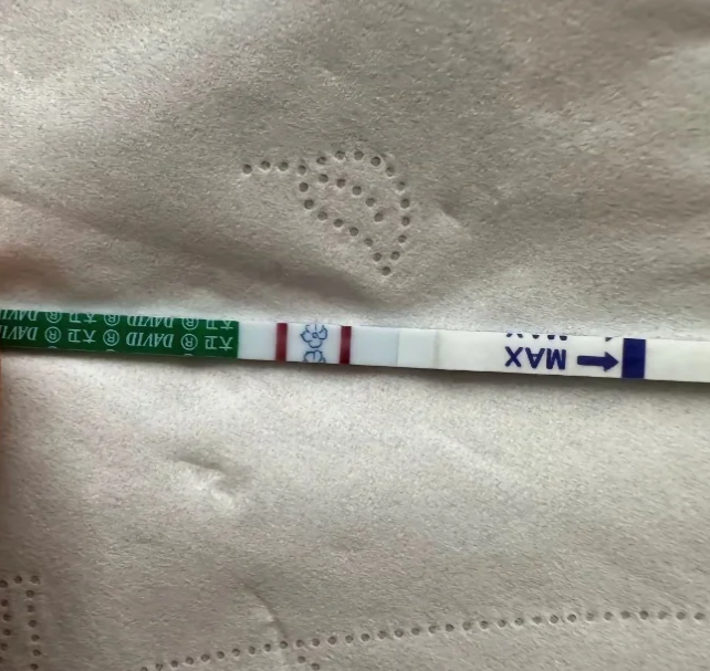 备孕13个月仍没动静，竟然是因为纵膈子宫