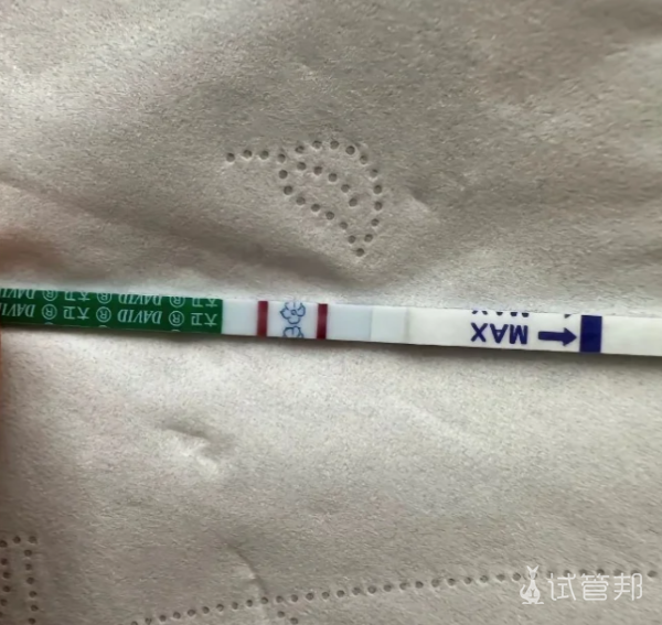 83963e77ba1704c65e8a10d1a91a1215.png 备孕13个月仍没动静,竟然是因为纵膈子宫