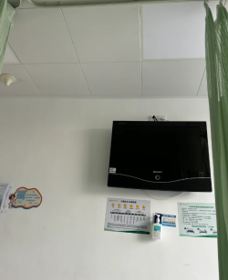 经历两次胎停后，做了纵隔子宫手术