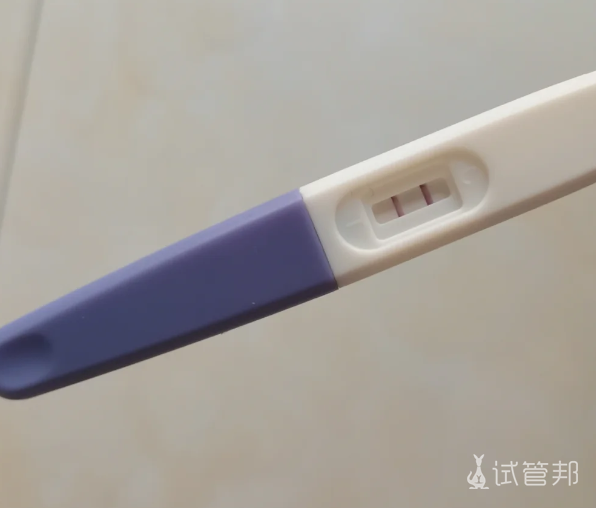 f58396f164182355699d3de876074dc6.png 纵隔子宫的我怀孕了,姐妹真的不用太害怕