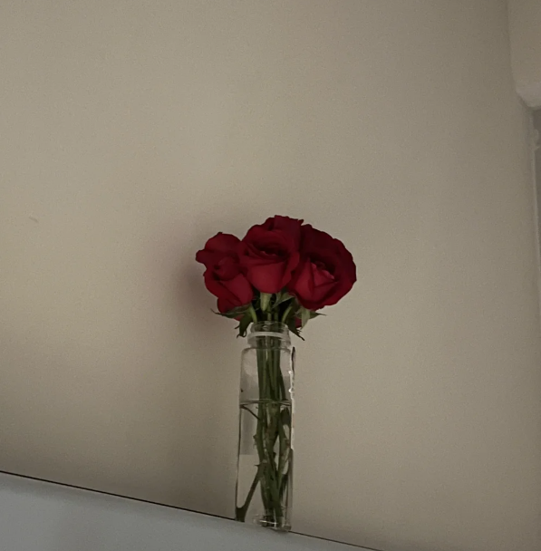 6905e96a785e6236231beed953f50ef7.png 试管婴儿没上岸的日子里怎么缓解焦虑