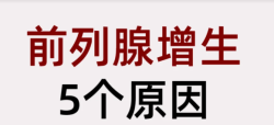 导致前列腺增生发生的原因有哪些？