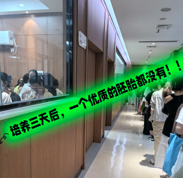 养卵3天，一个优质胚胎都没有