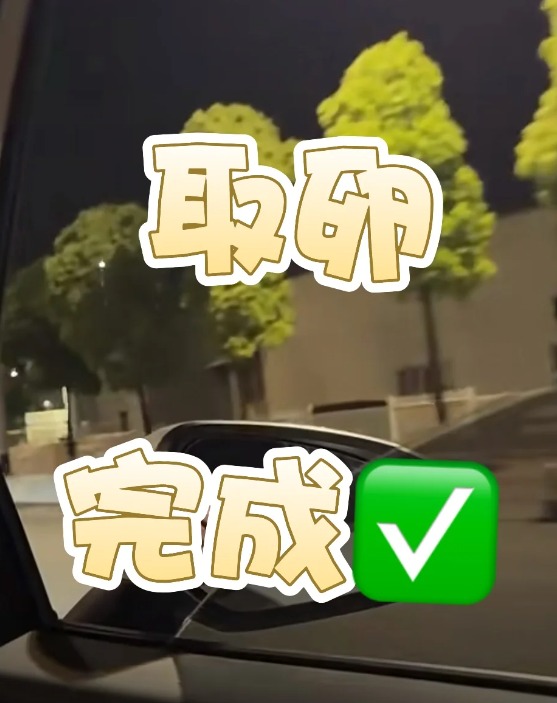 一代试管日记：取卵结束啦