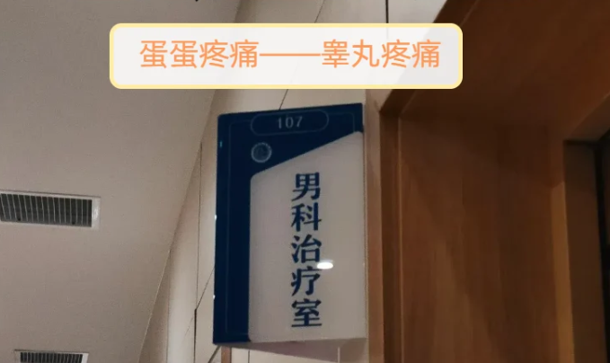 睾丸疼担心是附睾炎