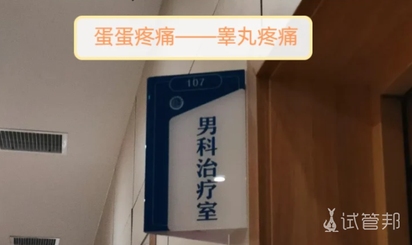 ecc6595123e279a6fb0560d27bd93174.png 睾丸疼担心是附睾炎