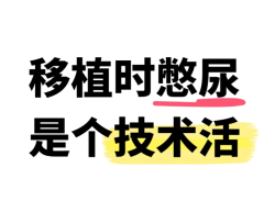 试管移植憋尿，我真觉得是个技术活
