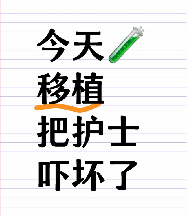 试管移植痛昏了差点