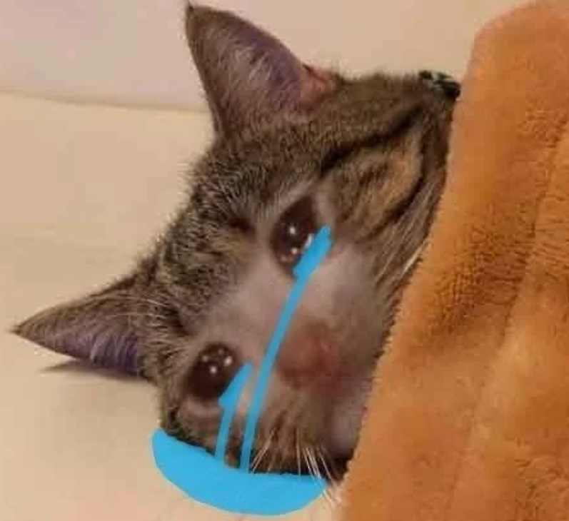 61a4481100f224359016866f6e5ce7d4.png 试管二促二移失败我是怀不上了吗