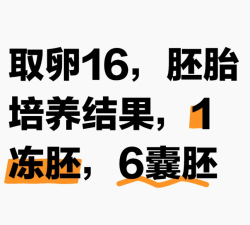 取卵16个，获得6个囊胚，1个冻胚