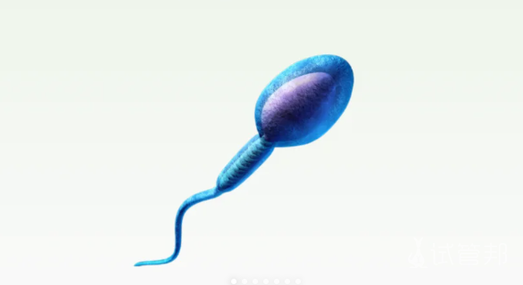 2466c06ce380d4cc555303de08445722.png 逆行射精不知道怎么调理