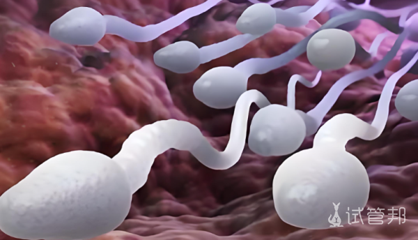 70fce16955a14ac7bac7ca3157fe6e24.png 有哪些方法能预防逆行射精