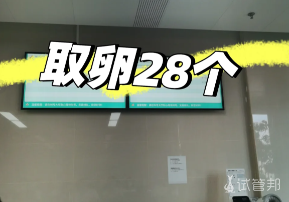 4a81ac7675f01507b4f61d9cfc49101a.png 顺利取卵,今日任务完成