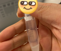 5分钟自测！你的“小蝌蚪”健康达标了吗？干货分享！