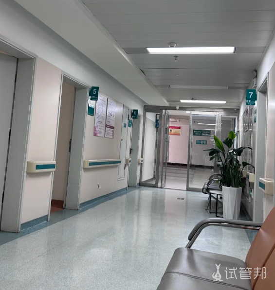 baf92c98e82af39fb04fef7ac2618092.png 试管婴儿和人工受孕有什么不同