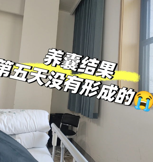 养囊第五天被告知没养成，崩溃！