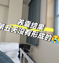 养囊第五天被告知没养成，崩溃！