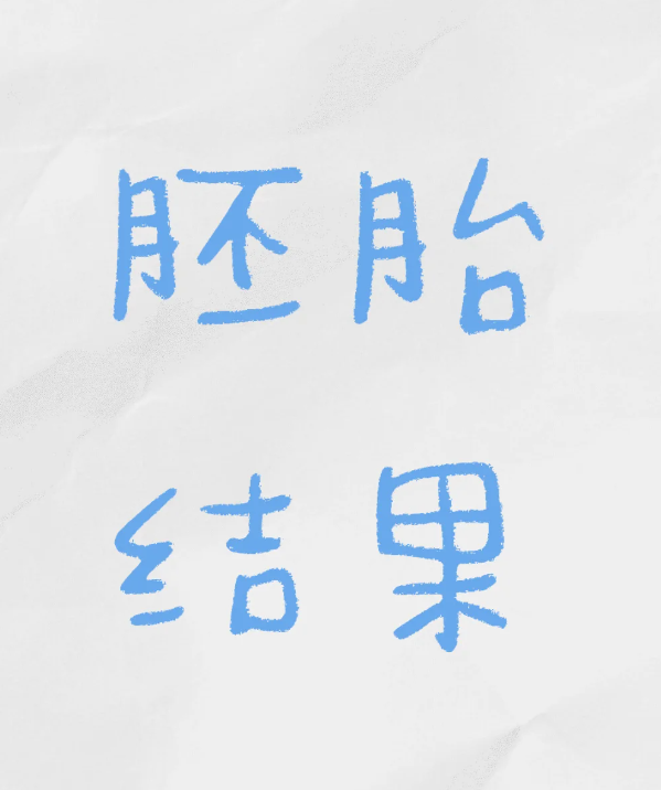 返院看胚胎了结果和我预想的不太一样
