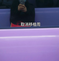 移植进周失败，我该怎么办