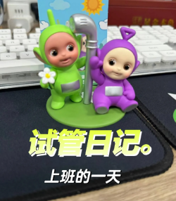 打工人不易，取卵第二天正式上班