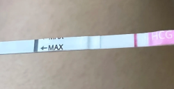 又要重头开始试管，想想就心累