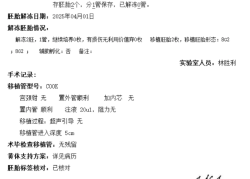 北医三院试管之冷冻胚胎移植记录