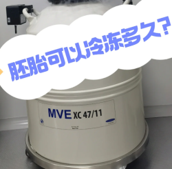胚胎可以冷冻多久？真的超出想象