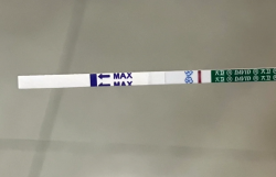 大家都是着床出血后多久测出怀孕的？为啥我测不到