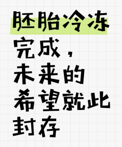 所有胚胎都送去冷冻了，说点儿我了解到的干货吧