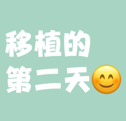 冻胚移植日记：优胚入“宫”，坐等开奖！