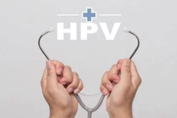 3ff90c366d3996218dc999f5057c60e1.png 人乳头瘤病毒感染有什么症状