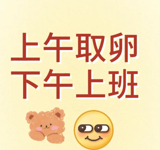 上午取卵，下午上班，还有谁！